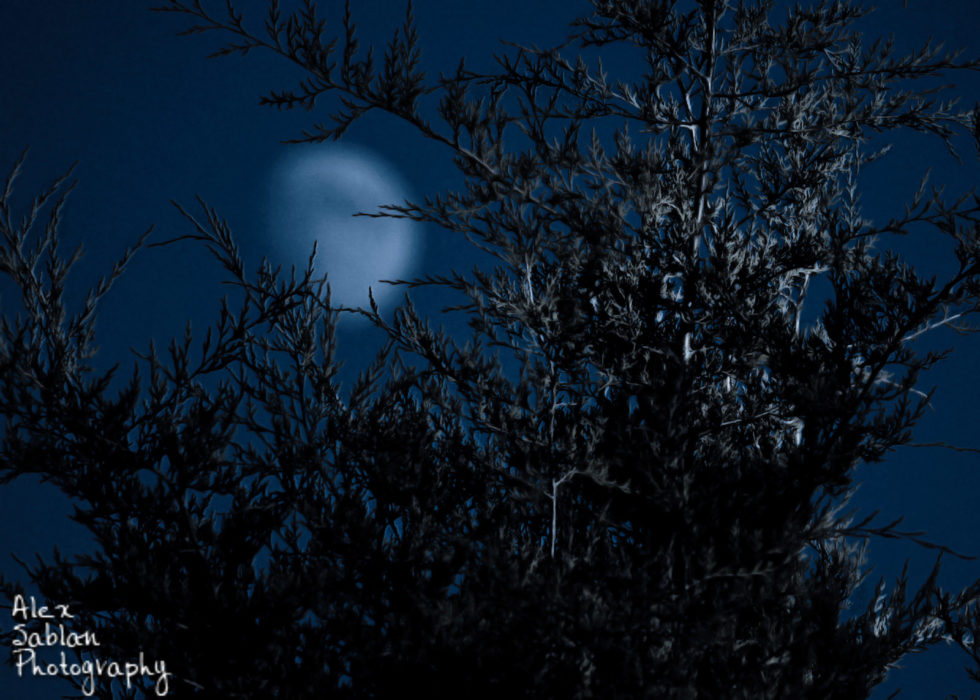 Bokeh Moon